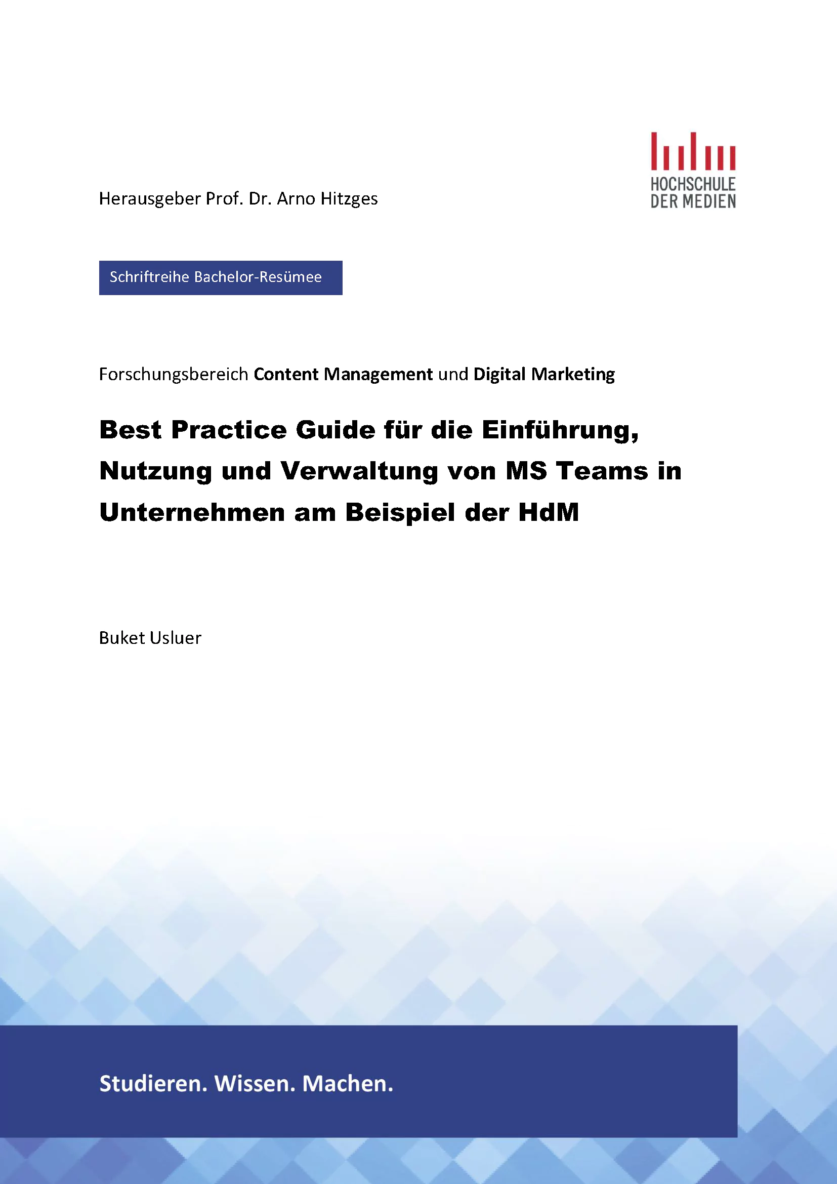 bachelorSchriftenreihe-buket-usluer Cover der wissenschaftlichen Publikation